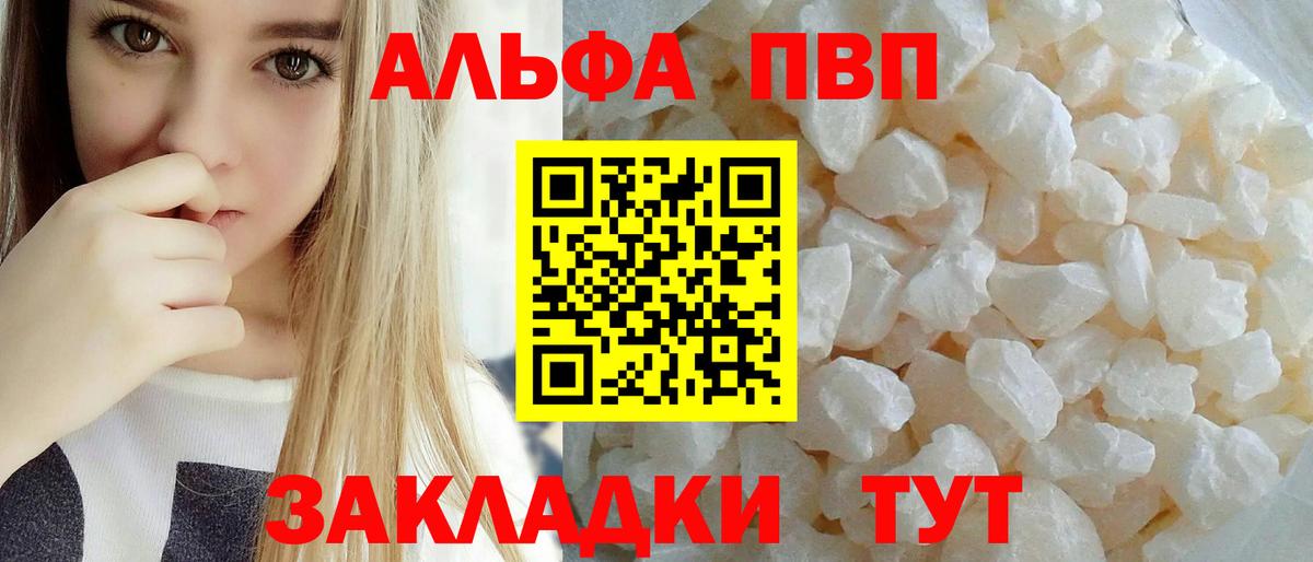 APVP СК Кострома