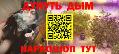 Альфа ПВП Ачхой-Мартан