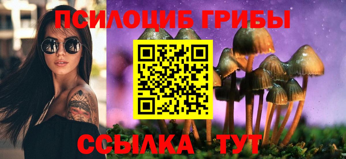 Псилоцибиновые грибы Magic Shrooms  Псилоцибиновые грибы Cubensis  Кострома  купить   Вход с VPN 